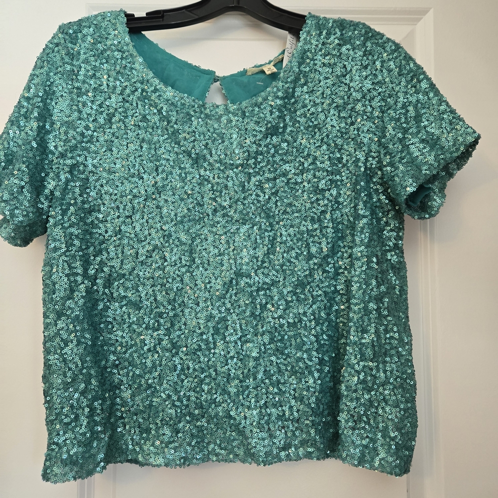 Alythea Aqua Sequin Blouse